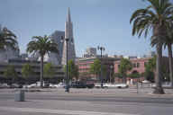 embarcadero_transamerica.jpg (66959 bytes)