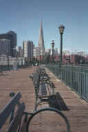 pier_transamerica1.jpg (63927 bytes)