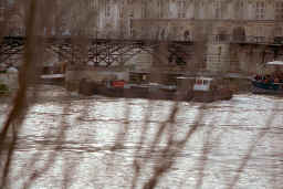 seine_branches_barge_1.JPG (119769 bytes)