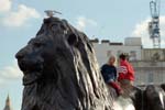 trafalgar_sq_kid_lion_02